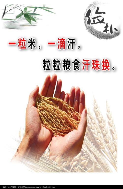 仿制假缅因州ID